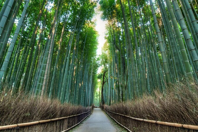 Kyoto tour with English Speaking Chauffeur - Ginkakuji: restraint instead of silver