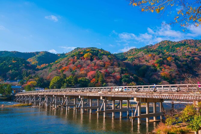 Kyoto tour with English Speaking Chauffeur - Fushimi Inari: thousands of vermilion gates