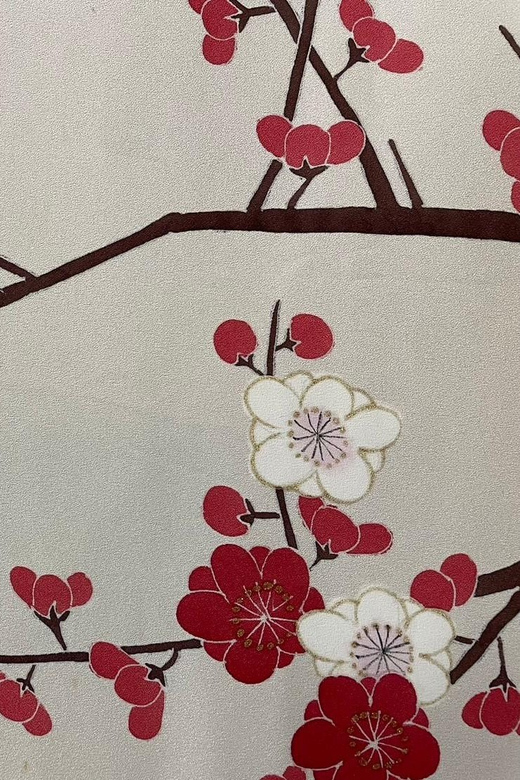 Kyoto: Traditional Yuzen Dyeing Experience - Painting the silk, one section at a time