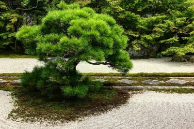 Zen Garden, Zen Mind (Private)