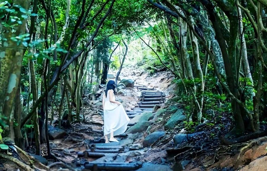 Kyushu Tour From Fukuoka: Itoshima Nature & Coastal Scenery - Fukuoka Tower or Momochihama Seaside Park