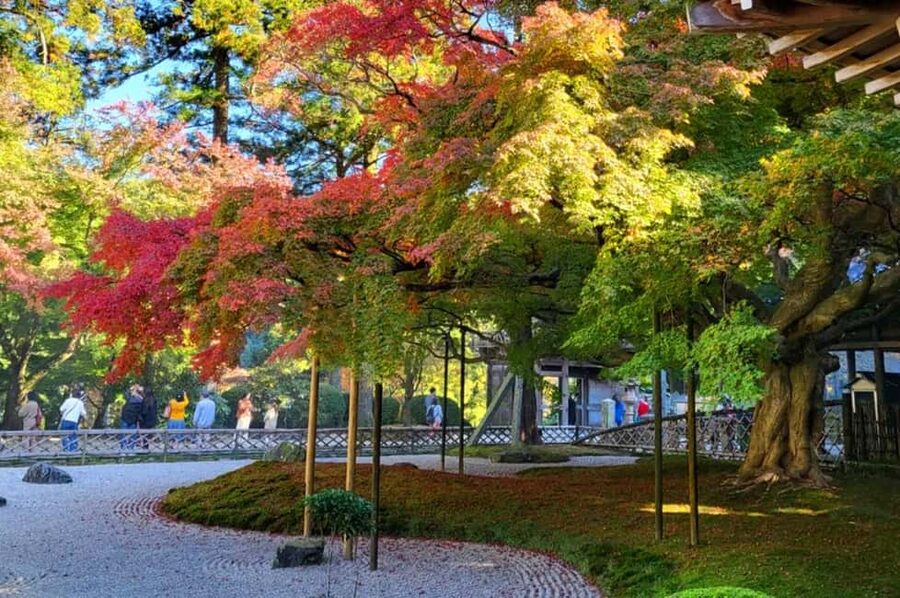 Kyushu Tour From Fukuoka: Itoshima Nature & Coastal Scenery - What the $67 Price Really Covers