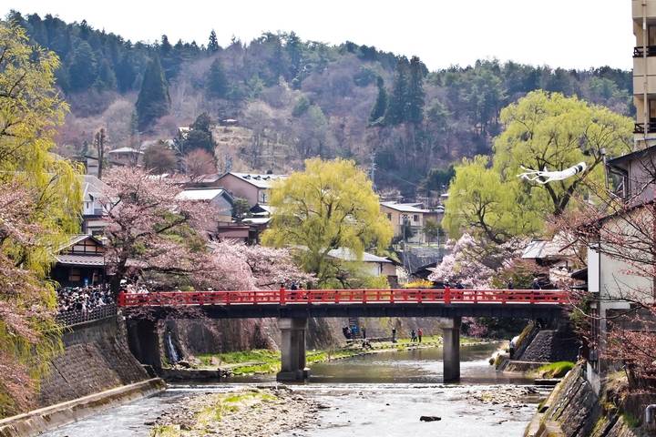 Land of the Samurai - 12 days by On The Go Tours: Tokyo to Kyoto Tour Review - Himeji and Hiroshima: castles, memory and local food