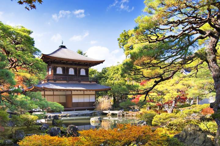 Land of the Samurai - 12 days by On The Go Tours: Tokyo to Kyoto Tour Review - What the price includes, and what to check
