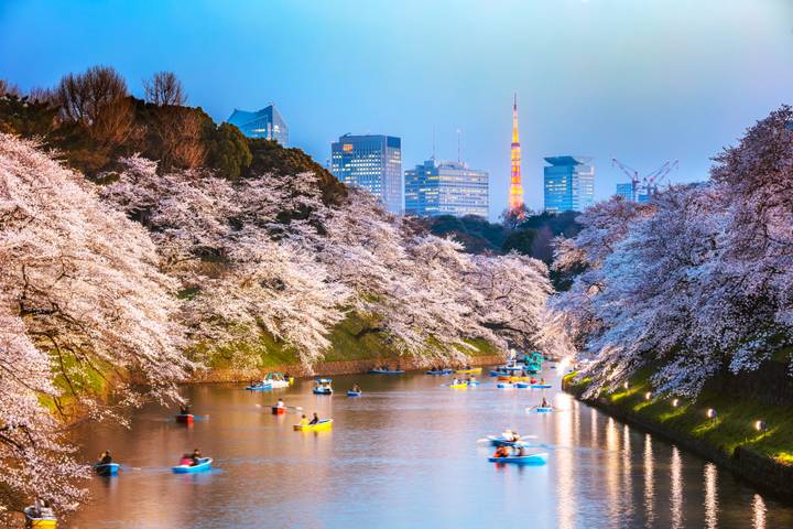 Legend of Japan (from Tokyo to Osaka) by TruTravels - 12-Day Tour Review - Kyoto: red gates, bamboo and samurai culture