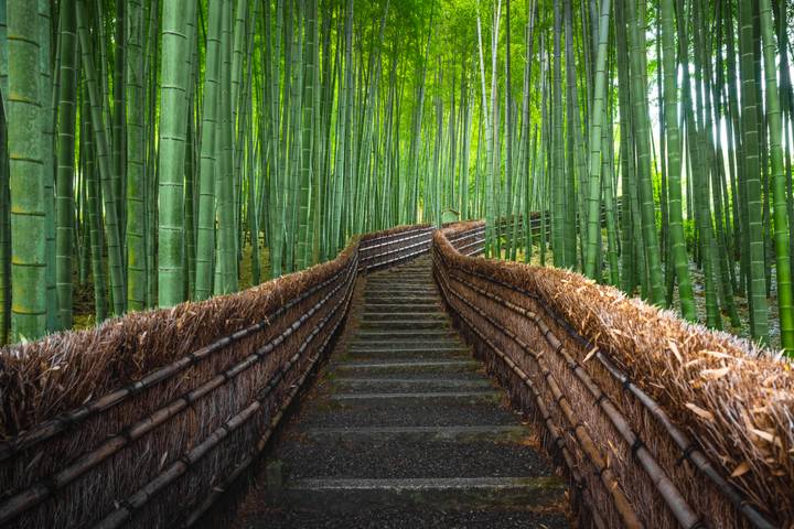 Legend of Japan (from Tokyo to Osaka) by TruTravels - 12-Day Tour Review - What the price covers, and what it does not