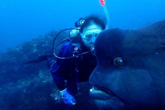 Let's enjoy Scuba diving in Izu Peninsula for certificate Diver - The facilities and practical comfort