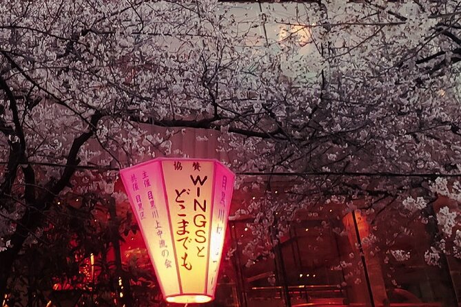 Licensed Guide Tokyo Meguro Cherry Blossom Walking Tour - Is $22.86 good value?