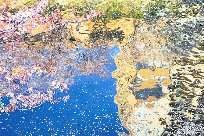 Licensed Guide Tokyo Meguro Cherry Blossom Walking Tour - My verdict: book it for context, not a flower guarantee