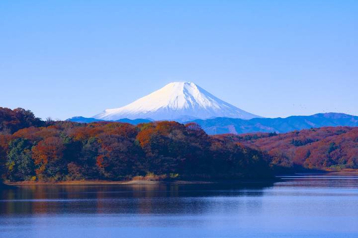 Luxury Japan Wellness Tour by Tweet World Travel - 7 Days Review - A wellness tour with a full sightseeing agenda