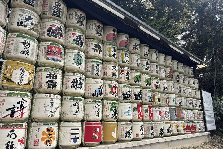 Luxury Japan Wellness Tour by Tweet World Travel - 7 Days Review - Tokyo begins with shrines, shopping and city contrasts