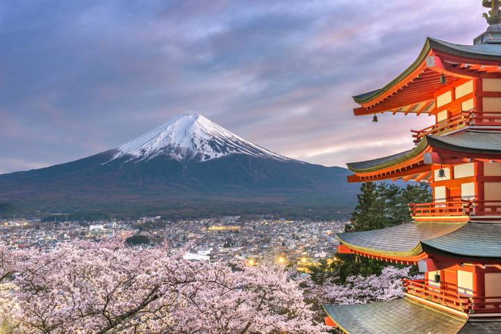 Luxury Japan Wellness Tour by Tweet World Travel - 7 Days Review - The bullet train makes the move to Kyoto easier