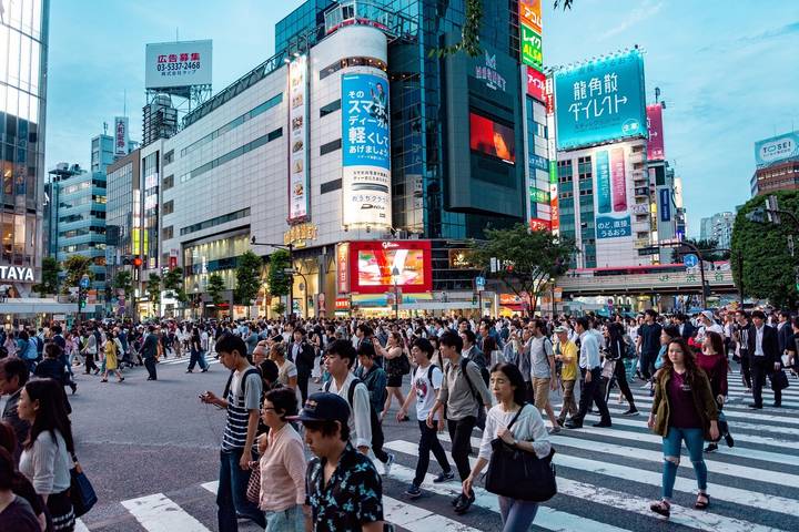 Luxury Japan Wellness Tour by Tweet World Travel - 7 Days Review - Who should book this Japan wellness tour?