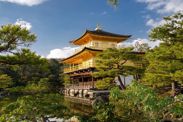 Luxury Japan Wellness Tour by Tweet World Travel - 7 Days Review - FAQ