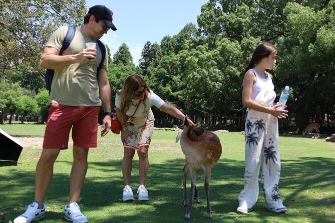 Luxury Kyoto 1-Day Private Car Tour with Nara & Osaka Options - The Nara and Osaka possibilities