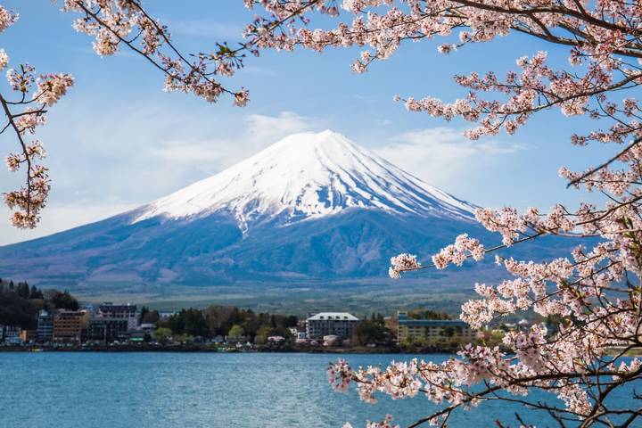 Magic of Japan by Expeditions Gateways - 5-Day Tour from Tokyo Review - A Tokyo overview with a Fuji day trip