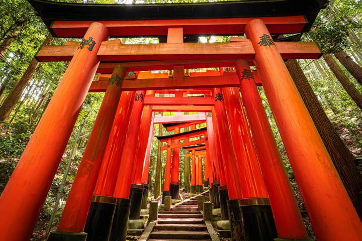 Magic of Japan by Expeditions Gateways - 5-Day Tour from Tokyo Review - Arrival day: a soft landing in Tokyo
