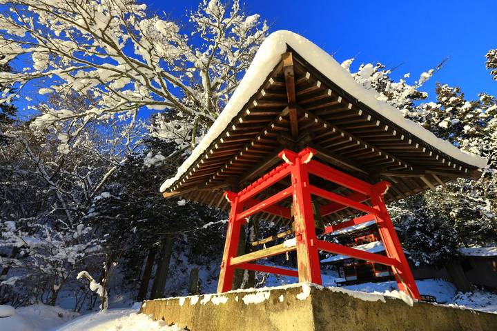 Magical and Dreamy Japan by Europamundo - 14-Day Tour from Tokyo Review - Shikoku, Naruto and a busy day to Kobe