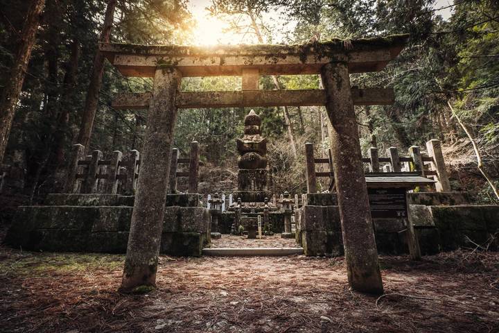 Magical and Dreamy Japan by Europamundo - 14-Day Tour from Tokyo Review - Kyoto’s famous sights, then Zen and dinosaurs