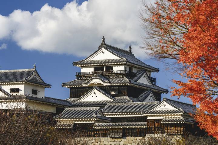 Magical and Dreamy Japan by Europamundo - 14-Day Tour from Tokyo Review - Tokyo’s temples, crossings and city views
