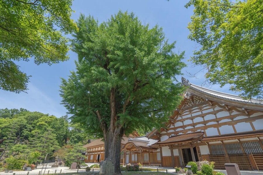 Magome-juku, Tsumago-juku & Ena-kyo 1d Bus Tour from Nagoya - Tsumago-juku feels compact, calm, and beautifully preserved