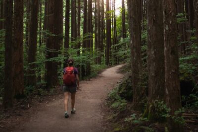 Magome & Tsumago Nakasendo Trail Day Hike with Government-Licensed Guide