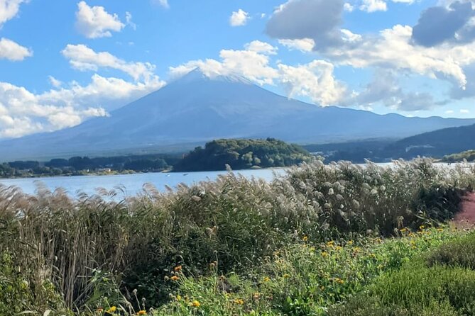 Majestic Mt. Fuji & Hakone Retreat –A Private Day Tour from Tokyo - Oshino Hakkai and Its Eight Ponds