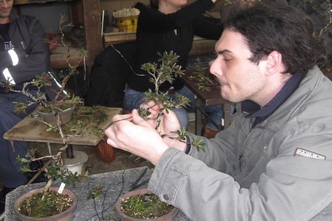 Make Your Own Bonsai with a Professional Bonsai Artist in Tokyo - Why this bonsai class is more than a craft lesson