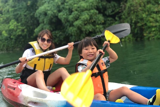 Mangrove kayaking to enjoy nature in Okinawa - Five useful things to know before you book