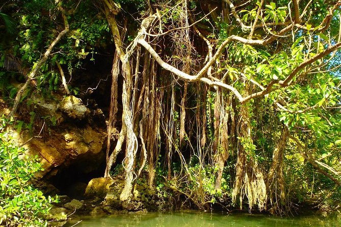Mangrove kayaking to enjoy nature in Okinawa - Why the Hija River works so well for a first kayak trip