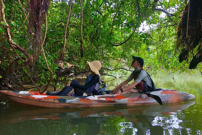 Mangrove kayaking to enjoy nature in Okinawa - What the guides add to the outing