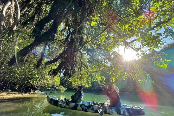Mangrove kayaking to enjoy nature in Okinawa - The $36.33 price and the value you get
