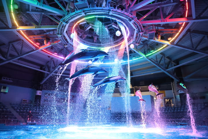 Maxell Aqua Park Shinagawa Ticket - At a glance