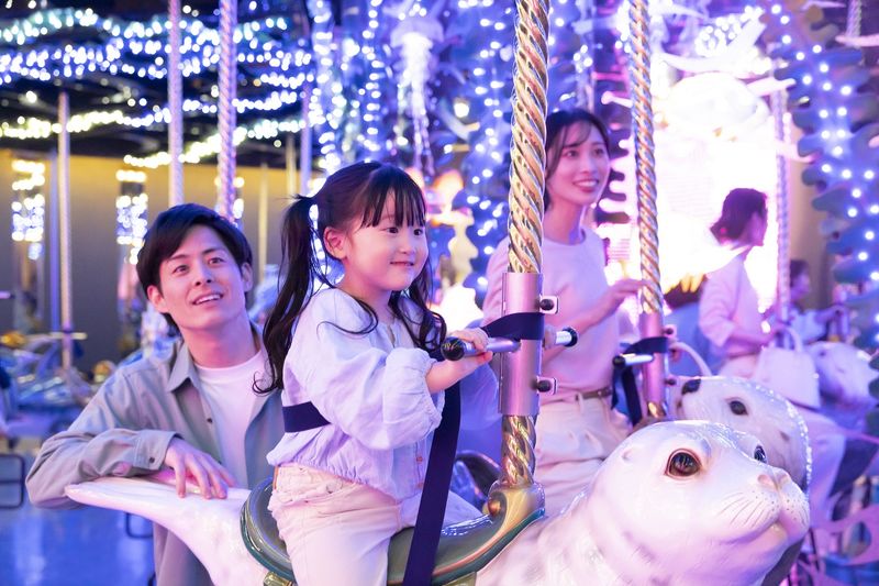 Maxell Aqua Park Shinagawa Ticket - Wonder Tube: rays overhead