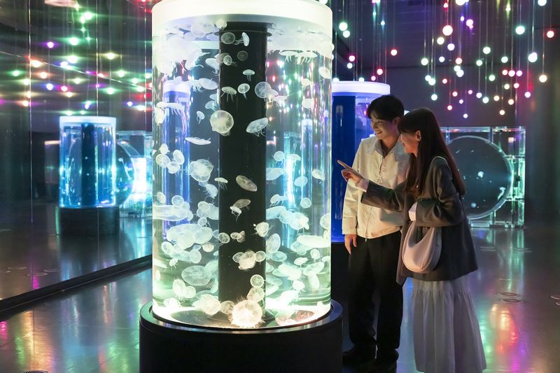 Maxell Aqua Park Shinagawa Ticket - Jellyfish Ramble and Little Paradise