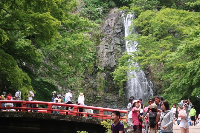 Minoh Waterfall and nature walk through the Minoh Park - Five things to know before you book