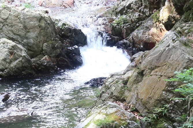 Minoh Waterfall and nature walk through the Minoh Park - The paved climb through Minoh Park
