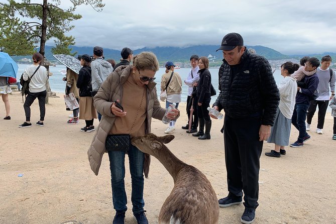 Miyajima Half-day Private Tour with Government Licensed Guide - What the guides do especially well