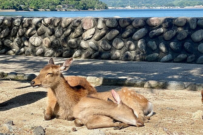 Miyajima Highlights: Itsukushima Shrine & Island Nature - Getting From Hiroshima to Miyajima