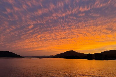 Miyajima Highlights: Itsukushima Shrine & Island Nature
