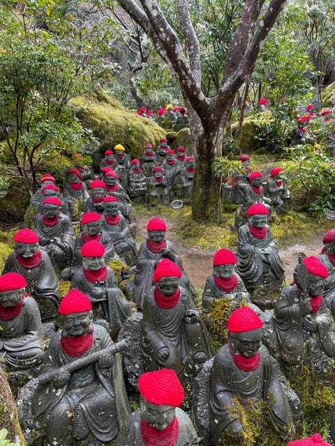 Miyajima Highlights: Itsukushima Shrine & Island Nature - What $138 Buys You, and What It Does Not