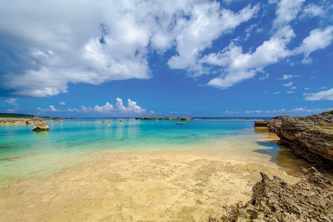 [Miyako Island/Half Day] Sea Turtle Snorkeling - Meeting at Shigira Beach Parking Lot