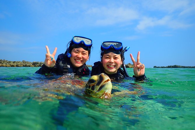 [Miyako Island/Half Day] Sea Turtle Snorkeling - Sea turtles are the reward, not a promise