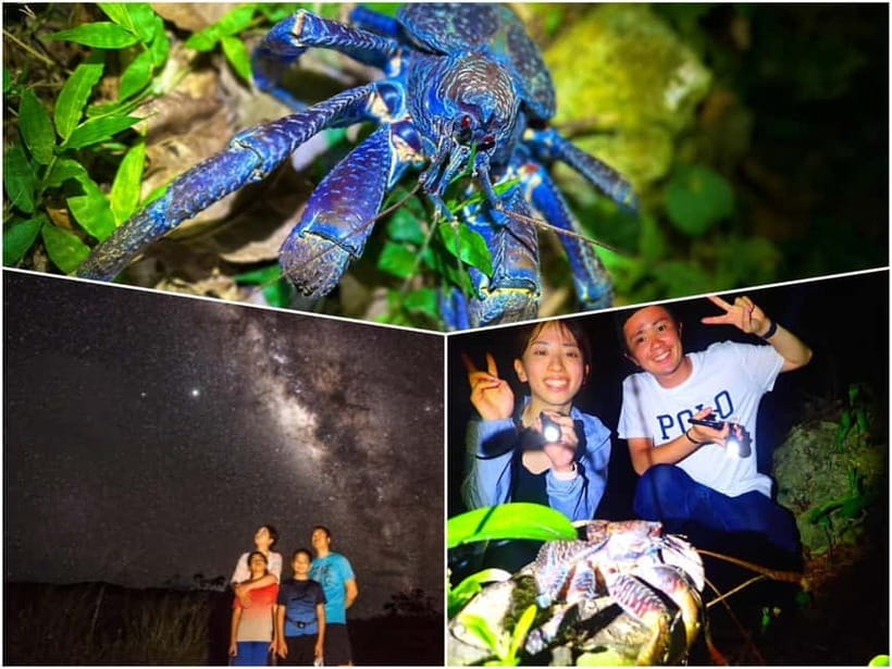 Miyako Island: Stars & Jungle Night Walking Tour - Key points to know before booking