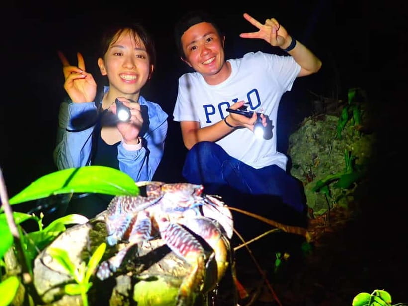 Miyako Island: Stars & Jungle Night Walking Tour - How to get the most from the experience