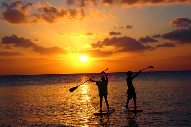 Miyako SUP or Canoe Tour on a Spectacular Beach in Miyako - Why Miyakojima’s clear water matters
