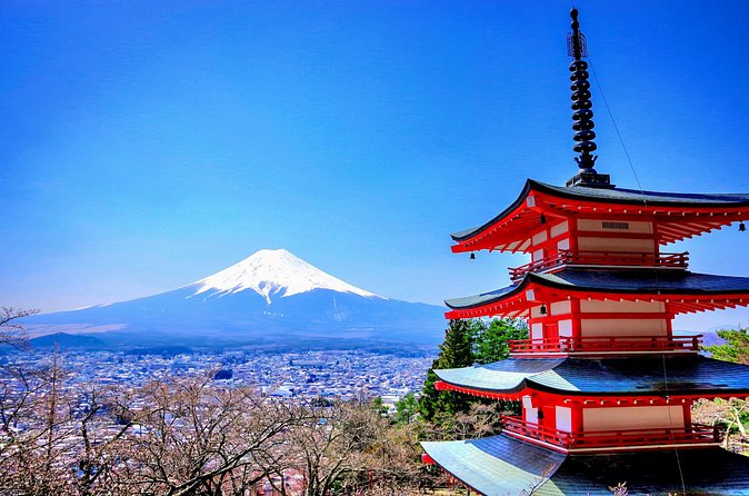 Mount fuji and Hakone Full day private sightseeing tour - Hakone Shrine and the famous orange torii