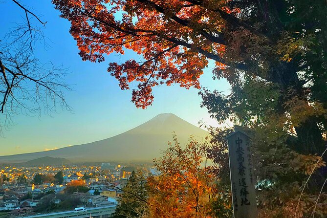 Mount fuji and Hakone Full day private sightseeing tour - Togendai Station and the ropeway option