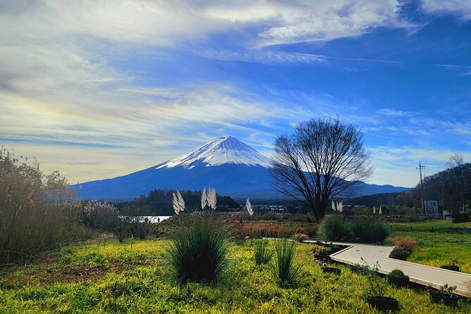 Mount fuji and Hakone Full day private sightseeing tour - Starting at Kitaguchi Hongu Fuji Sengen Jinja