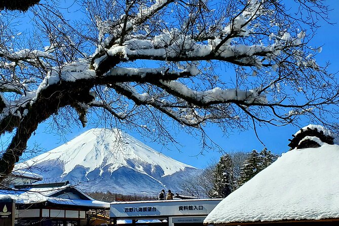 Mount Fuji and Hakone Private Tour from Tokyo (Customizable) - Key points to know before you book